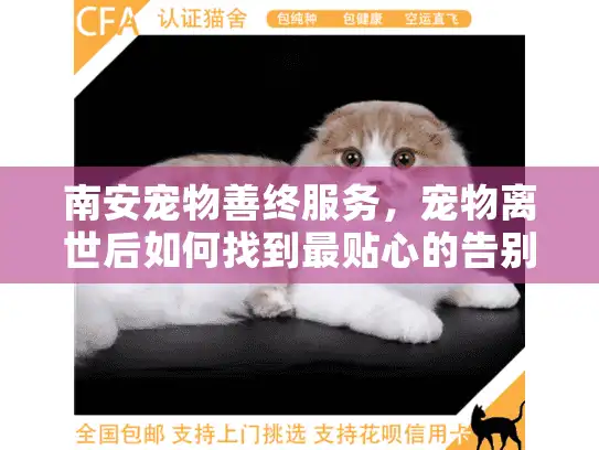 南安宠物善终服务,宠物离世后如何找到最贴心的告别方案? 南安宠物善终服务,宠物离世后如何找到最贴心的告别方案?