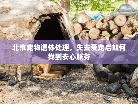 北京宠物遗体处理，失去爱宠后如何找到安心服务