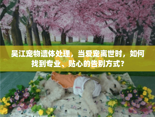 吴江宠物遗体处理，当爱宠离世时，如何找到专业、贴心的告别方式？