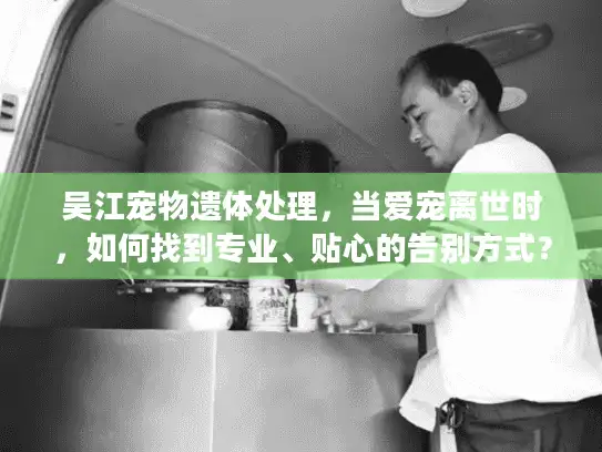 吴江宠物遗体处理，当爱宠离世时，如何找到专业、贴心的告别方式？