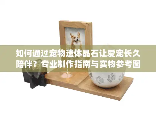 如何通过宠物遗体晶石让爱宠长久陪伴？专业制作指南与实物参考图