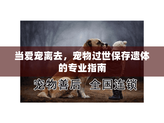 当爱宠离去，宠物过世保存遗体的专业指南