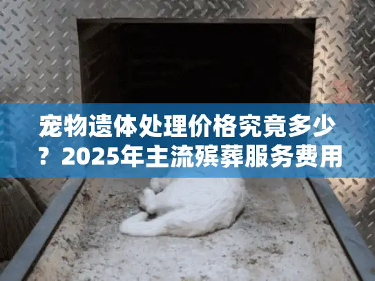 宠物遗体处理价格究竟多少？2025年主流殡葬服务费用全景解析