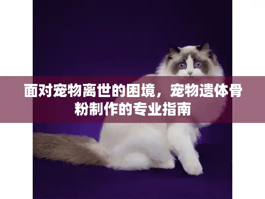 面对宠物离世的困境,宠物遗体骨粉制作的专业指南 面对宠物离世的困境,宠物遗体骨粉制作的专业指南