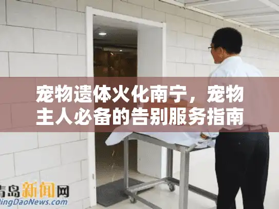 宠物遗体火化南宁,宠物主人必备的告别服务指南 宠物遗体火化南宁,宠物主人必备的告别服务指南