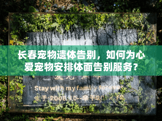 长春宠物遗体告别，如何为心爱宠物安排体面告别服务？
