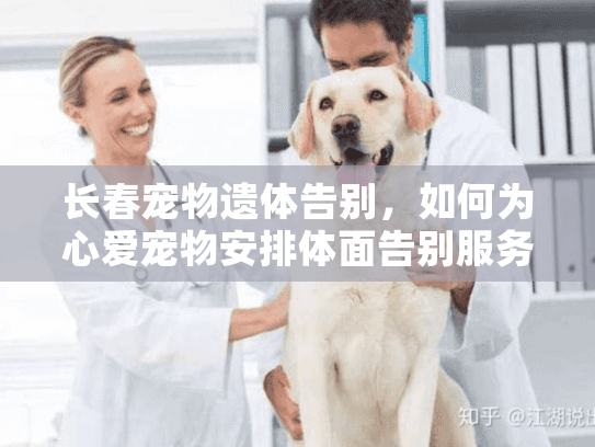 长春宠物遗体告别，如何为心爱宠物安排体面告别服务？