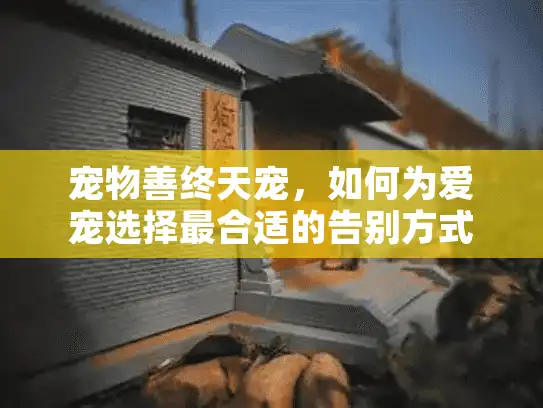 宠物善终天宠,如何为爱宠选择最合适的告别方式? 宠物善终天宠,如何为爱宠选择最合适的告别方式?