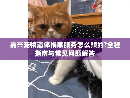 嘉兴宠物遗体捐献服务怎么预约?全程指南与常见问题解答