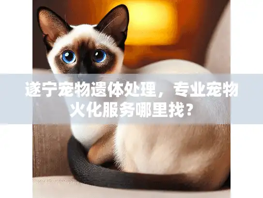 遂宁宠物遗体处理，专业宠物火化服务哪里找？