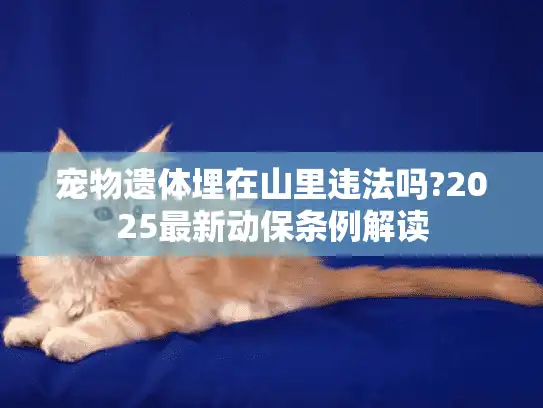 宠物遗体埋在山里违法吗?2025最新动保条例解读