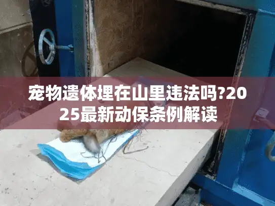 宠物遗体埋在山里违法吗?2025最新动保条例解读