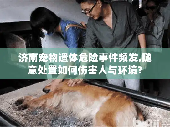 济南宠物遗体危险事件频发,随意处置如何伤害人与环境? 济南宠物遗体危险事件频发,随意处置如何伤害人与环境?