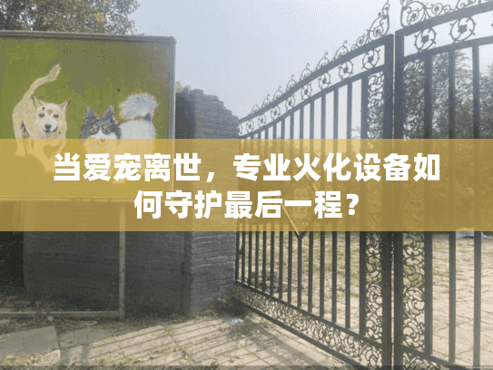 当爱宠离世，专业火化设备如何守护最后一程？