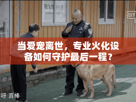 当爱宠离世，专业火化设备如何守护最后一程？