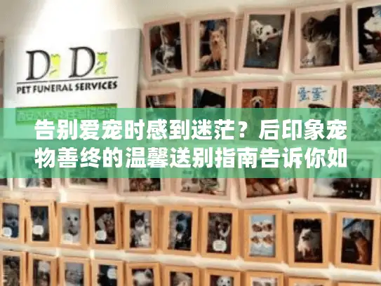 告别爱宠时感到迷茫？后印象宠物善终的温馨送别指南告诉你如何选择