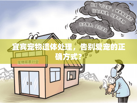 宜宾宠物遗体处理，告别爱宠的正确方式？