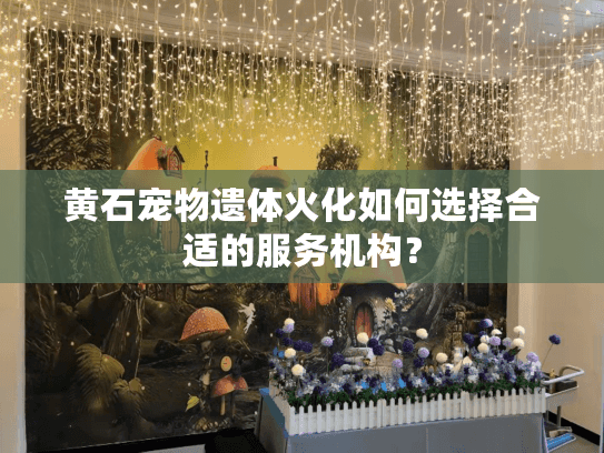 黄石宠物遗体火化如何选择合适的服务机构？