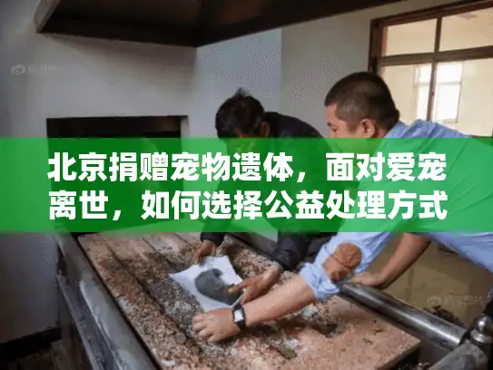 北京捐赠宠物遗体，面对爱宠离世，如何选择公益处理方式？