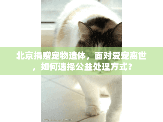 北京捐赠宠物遗体，面对爱宠离世，如何选择公益处理方式？