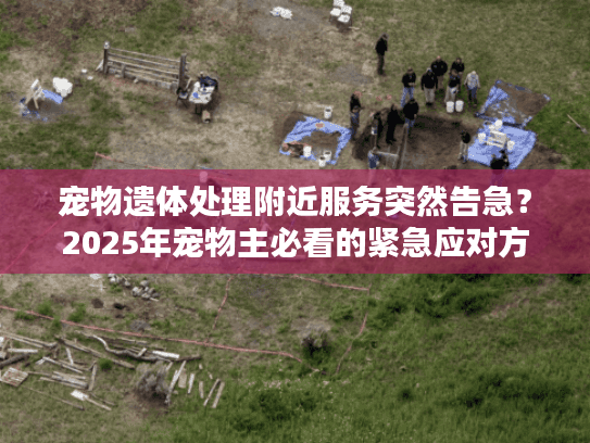 宠物遗体处理附近服务突然告急？2025年宠物主必看的紧急应对方案