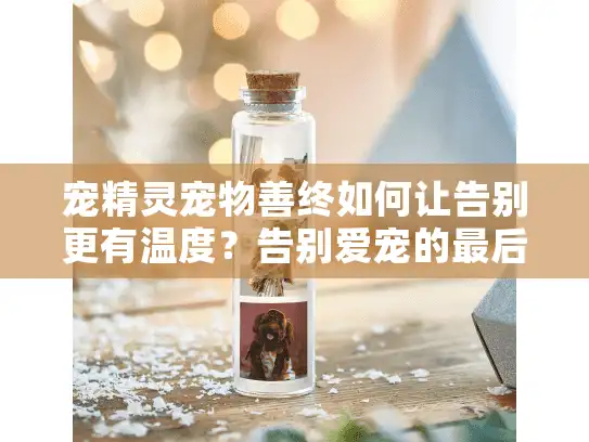 宠精灵宠物善终如何让告别更有温度?告别爱宠的最后一程 宠精灵宠物善终如何让告别更有温度?告别爱宠的最后一程
