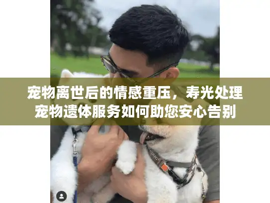 宠物离世后的情感重压，寿光处理宠物遗体服务如何助您安心告别