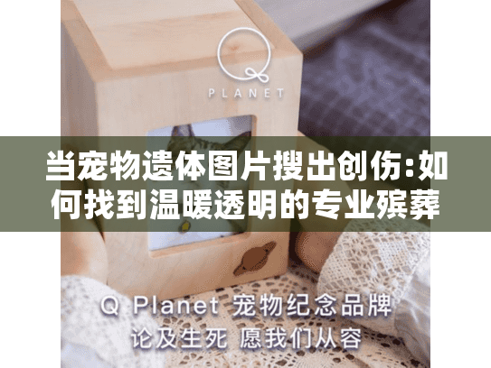 当宠物遗体图片搜出创伤:如何找到温暖透明的专业殡葬服务 当宠物遗体图片搜出创伤:如何找到温暖透明的专业殡葬服务