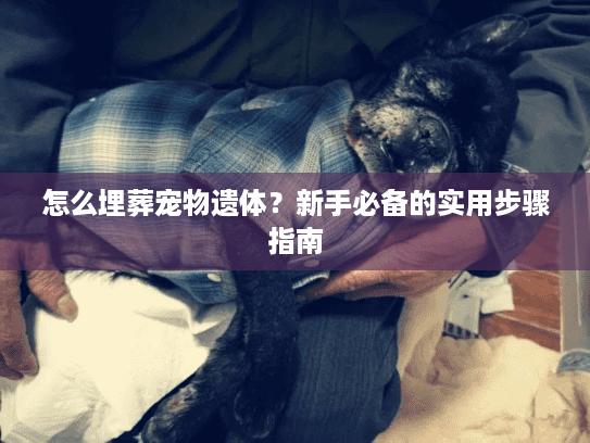 怎么埋葬宠物遗体?新手必备的实用步骤指南 怎么埋葬宠物遗体?新手必备的实用步骤指南
