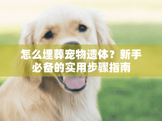 怎么埋葬宠物遗体?新手必备的实用步骤指南 怎么埋葬宠物遗体?新手必备的实用步骤指南