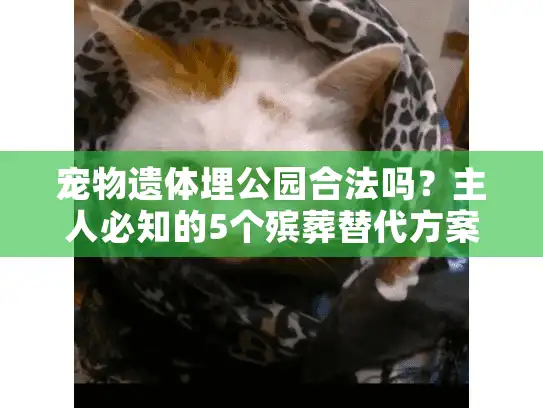 宠物遗体埋公园合法吗？主人必知的5个殡葬替代方案