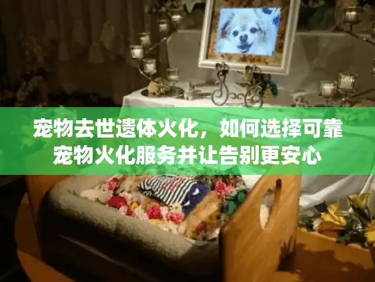 宠物去世遗体火化,如何选择可靠宠物火化服务并让告别更安心 宠物去世遗体火化,如何选择可靠宠物火化服务并让告别更安心
