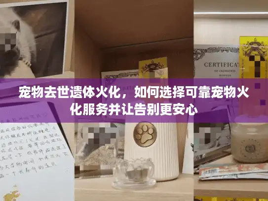 宠物去世遗体火化,如何选择可靠宠物火化服务并让告别更安心 宠物去世遗体火化,如何选择可靠宠物火化服务并让告别更安心