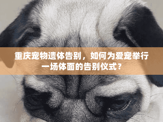 重庆宠物遗体告别,如何为爱宠举行一场体面的告别仪式? 重庆宠物遗体告别,如何为爱宠举行一场体面的告别仪式?