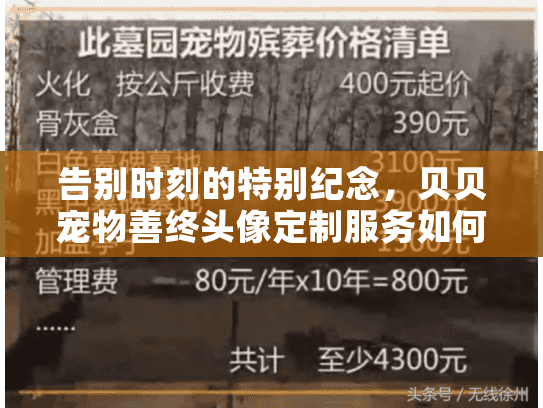 告别时刻的特别纪念，贝贝宠物善终头像定制服务如何抚慰心灵