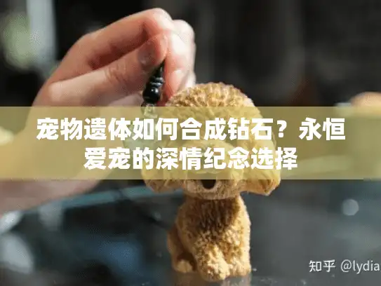 宠物遗体如何合成钻石？永恒爱宠的深情纪念选择