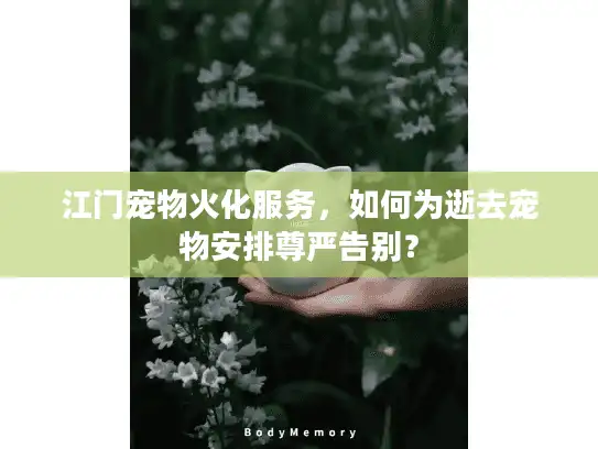 江门宠物火化服务，如何为逝去宠物安排尊严告别？
