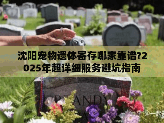 沈阳宠物遗体寄存哪家靠谱?2025年超详细服务避坑指南