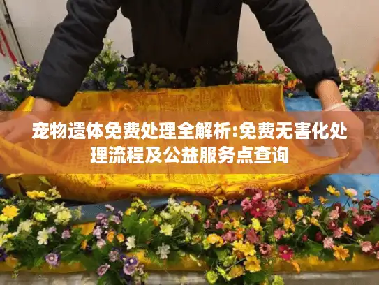 宠物遗体免费处理全解析:免费无害化处理流程及公益服务点查询