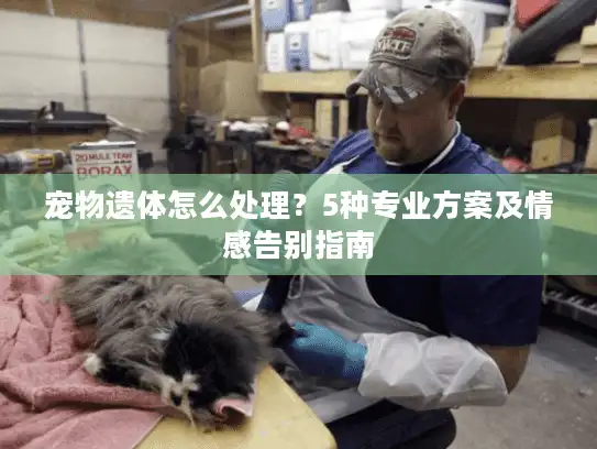 宠物遗体怎么处理？5种专业方案及情感告别指南