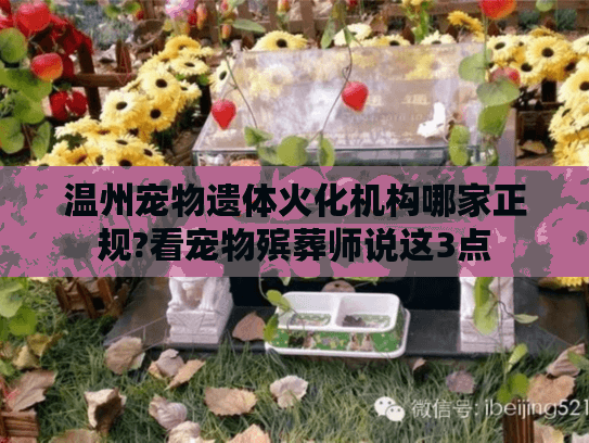 温州宠物遗体火化机构哪家正规?看宠物殡葬师说这3点 温州宠物遗体火化机构哪家正规?看宠物殡葬师说这3点