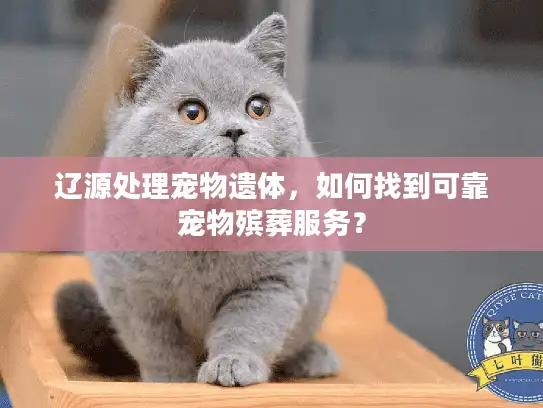 辽源处理宠物遗体，如何找到可靠宠物殡葬服务？