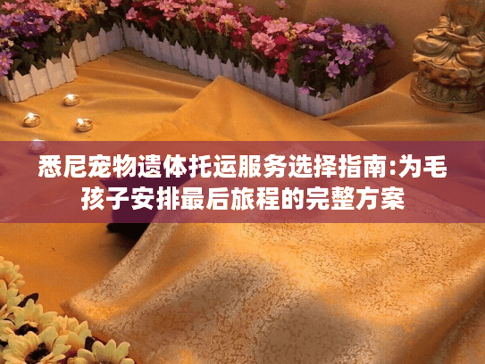 悉尼宠物遗体托运服务选择指南:为毛孩子安排最后旅程的完整方案