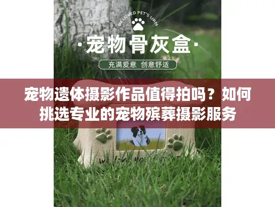 宠物遗体摄影作品值得拍吗？如何挑选专业的宠物殡葬摄影服务