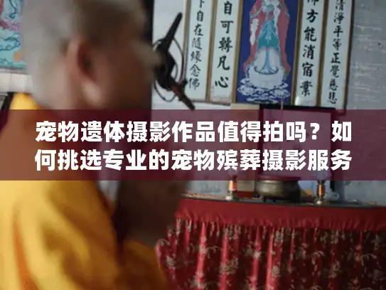 宠物遗体摄影作品值得拍吗？如何挑选专业的宠物殡葬摄影服务