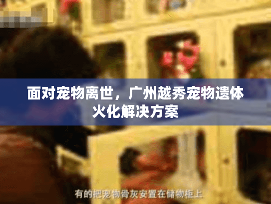 面对宠物离世,广州越秀宠物遗体火化解决方案 面对宠物离世,广州越秀宠物遗体火化解决方案