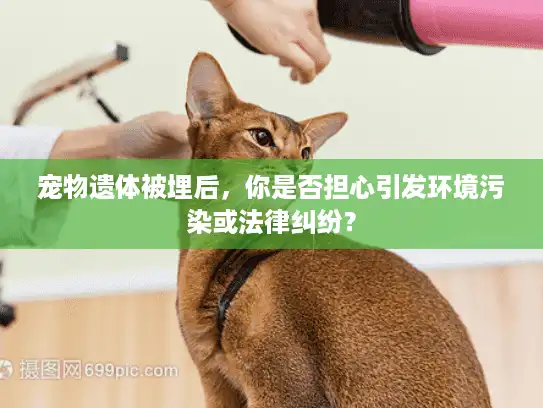 宠物遗体被埋后，你是否担心引发环境污染或法律纠纷？