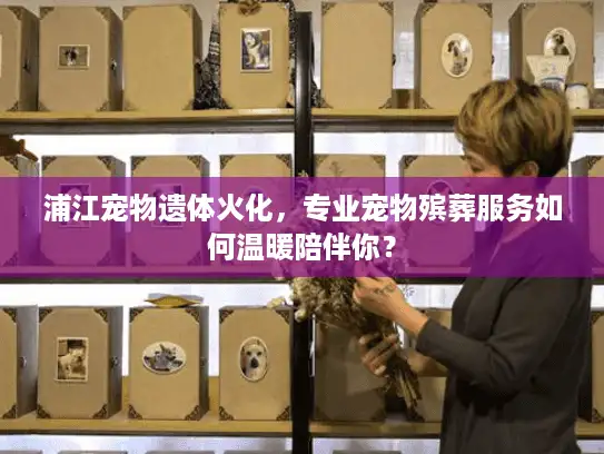 浦江宠物遗体火化，专业宠物殡葬服务如何温暖陪伴你？