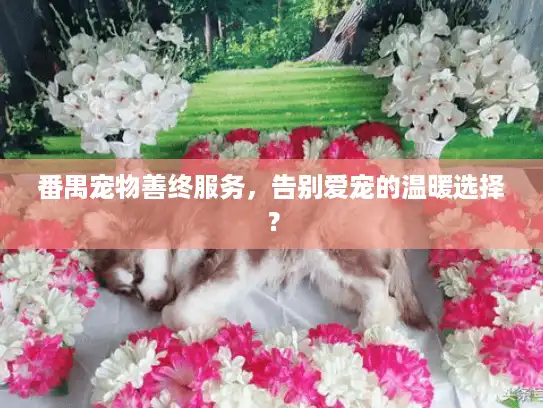 番禺宠物善终服务,告别爱宠的温暖选择? 番禺宠物善终服务,告别爱宠的温暖选择?