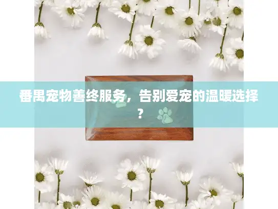 番禺宠物善终服务,告别爱宠的温暖选择? 番禺宠物善终服务,告别爱宠的温暖选择?